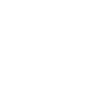 Pine Tree Icon