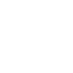 Snowflake Icon