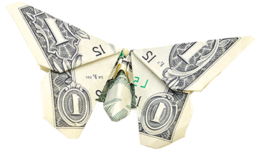 Butterfly Money shaped like butterfly